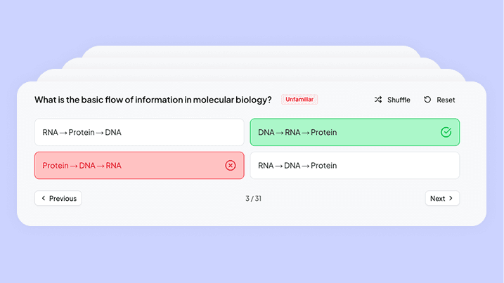 Illustration of generated flashcards and summaries